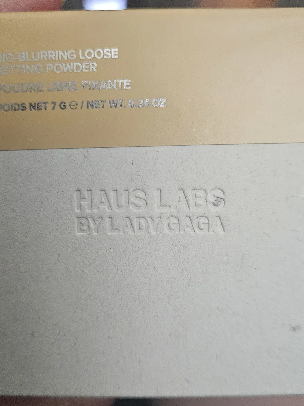 HAUS LABS By Lady Gaga Blurring Loose Setting Powder -in Golden